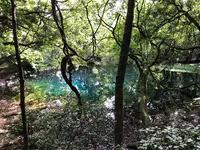 丸池様の写真・動画_image_383982