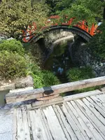 下鴨神社（賀茂御祖神社）の写真・動画_image_384009