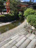 下鴨神社（賀茂御祖神社）の写真・動画_image_384019
