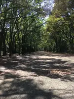 下鴨神社（賀茂御祖神社）の写真・動画_image_384020