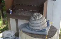 宝寿院の写真・動画_image_384071