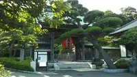 長谷寺の写真・動画_image_384141