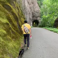 鬼怒楯岩大吊橋の写真・動画_image_384152