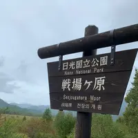 中禅寺湖の写真・動画_image_384181