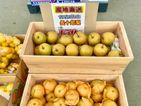 道の駅 三滝堂の写真・動画_image_384617