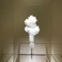 東京都現代美術館の写真・動画_image_384645