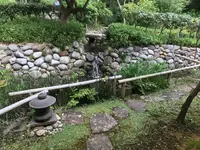 天王森泉公園の写真・動画_image_384745
