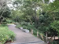 天王森泉公園の写真・動画_image_384800