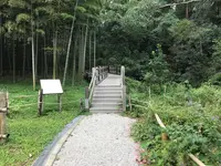 天王森泉公園の写真・動画_image_384806