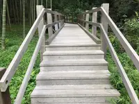 天王森泉公園の写真・動画_image_384812