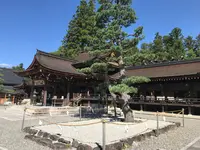 多賀大社の写真・動画_image_384851