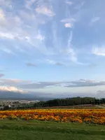 フラワーランドかみふらのの写真・動画_image_384939