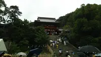 鶴岡八幡宮の写真・動画_image_385411