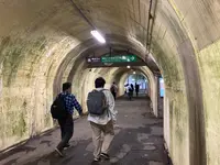 立山黒部アルペンルートの写真・動画_image_385706
