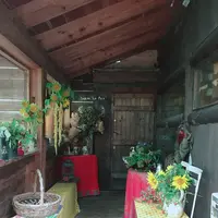  カフェ・ド・ラ ぺ （Cafe de La Paix） の写真・動画_image_385850