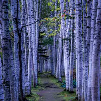 拓真館の写真・動画_image_385851