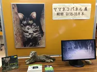 西表野生生物保護センターの写真・動画_image_385987