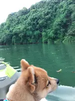 ブルーフィールドの写真・動画_image_386013