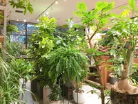 Rust（ラスト）の写真・動画_image_386094