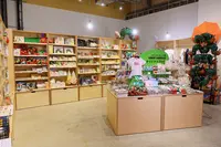 PLAY!MUSEUMの写真・動画_image_386109