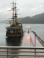 桃源台駅・箱根ロープウェイ／箱根ロープウェイの写真・動画_image_386179