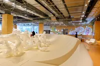 PLAY!PARKの写真・動画_image_386230