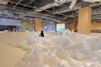 PLAY!PARKの写真・動画_image_386234