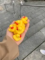 伊香保温泉の石段街の写真・動画_image_386346