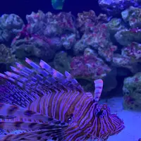 マクセル アクアパーク品川の写真・動画_image_386804