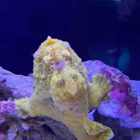 マクセル アクアパーク品川の写真・動画_image_386805