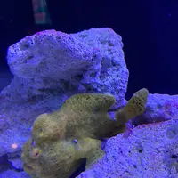 マクセル アクアパーク品川の写真・動画_image_386810