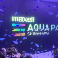 マクセル アクアパーク品川の写真・動画_image_386812