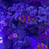 マクセル アクアパーク品川の写真・動画_image_386816