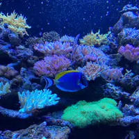 マクセル アクアパーク品川の写真・動画_image_386824