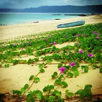 ばしゃ山海水浴場の写真・動画_image_38698