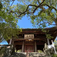 聖福寺の写真・動画_image_387003