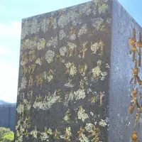 沢村惣之丞の墓（本蓮寺）の写真・動画_image_387011