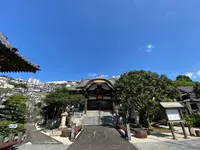 沢村惣之丞の墓（本蓮寺）の写真・動画_image_387014