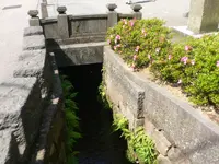 尾山神社の写真・動画_image_38782