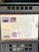 雲林院の写真・動画_image_388110
