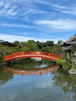 神泉苑の写真・動画_image_388125