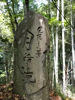 月待の滝の写真・動画_image_388174