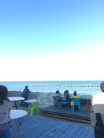 しろくまコーヒーの写真・動画_image_388385