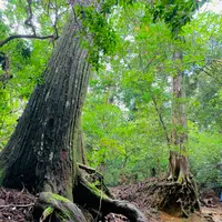 愛宕神社（旧白雲寺）の写真・動画_image_388790
