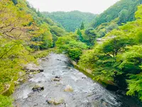 愛宕神社（旧白雲寺）の写真・動画_image_388792