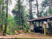 愛宕神社（旧白雲寺）の写真・動画_image_388794