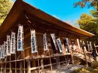 杉本寺の写真・動画_image_389196