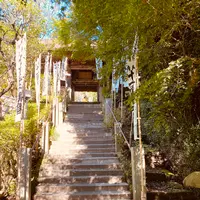 杉本寺の写真・動画_image_389198