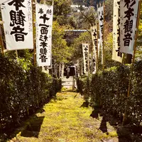 杉本寺の写真・動画_image_389199