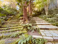 瑞泉寺の写真・動画_image_389200